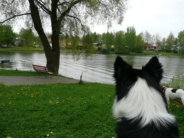 P1110133.JPG